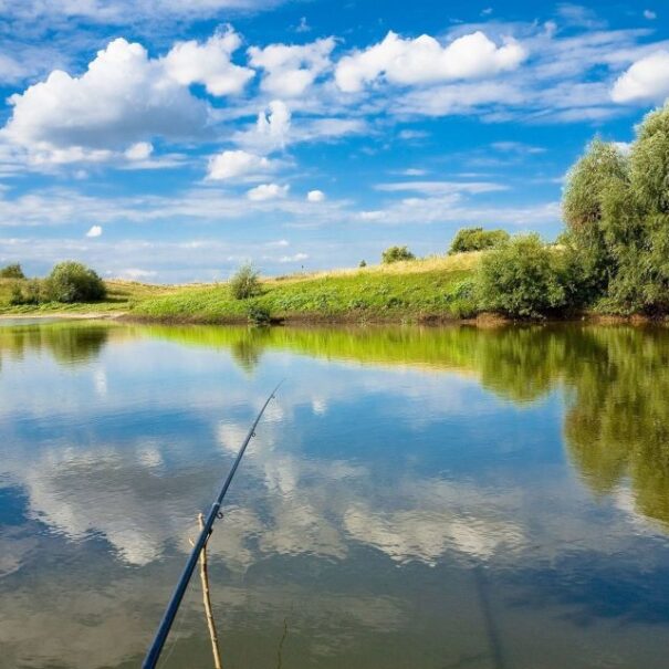 family-fishing-pond-605x605